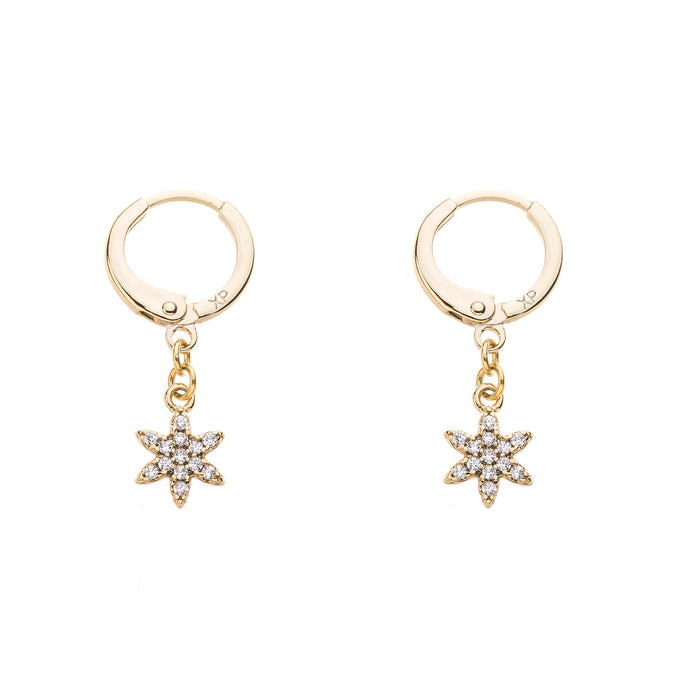 Gold Plated Cubic Zirconia Earrings E1509