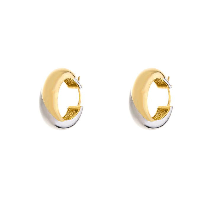 Rhodium and Gold Plated Earrings E1525