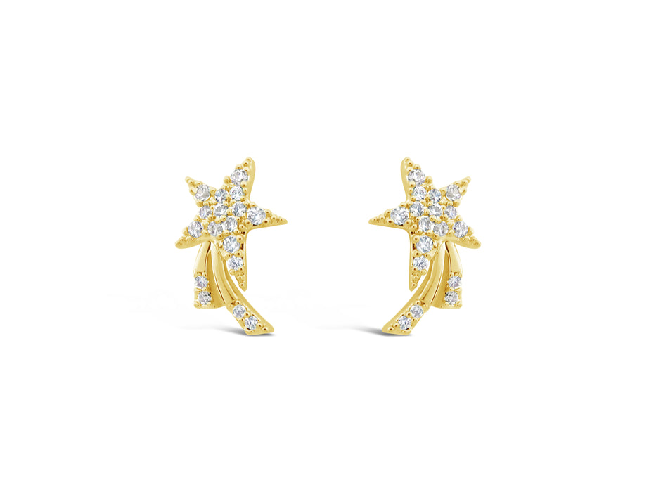 Gold plated earrings E325