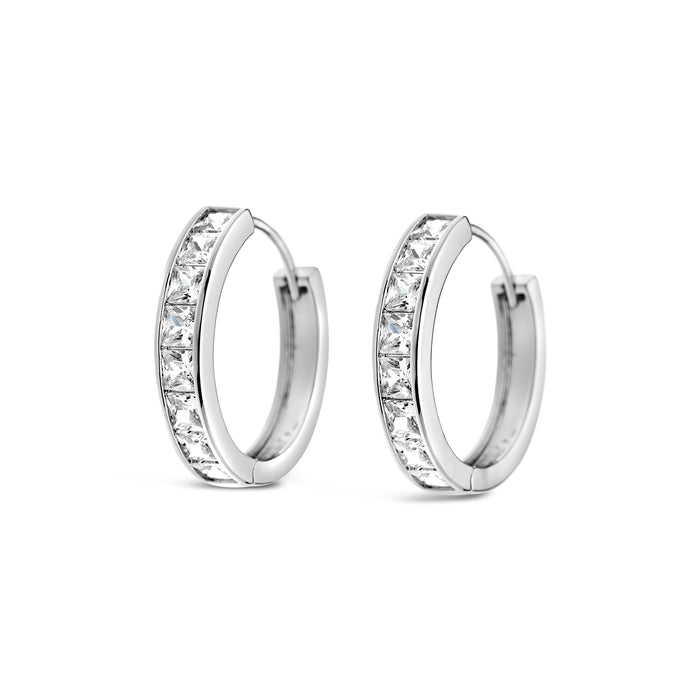 Rhodium Plated Earrings E349