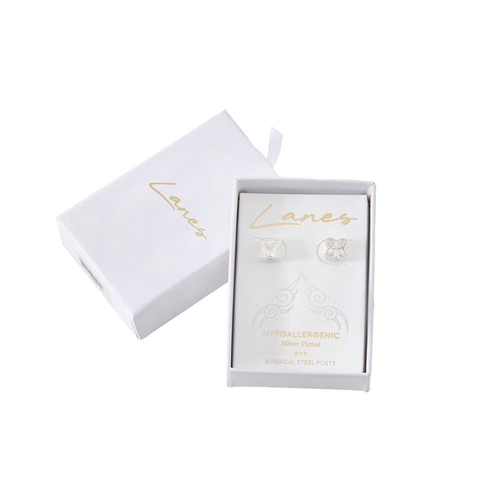 1 PAIR OF ALL 100 HYPOALLERGENIC EARRING STYLES.SUPPLIED WITH A FREE DISPLAY STAND.