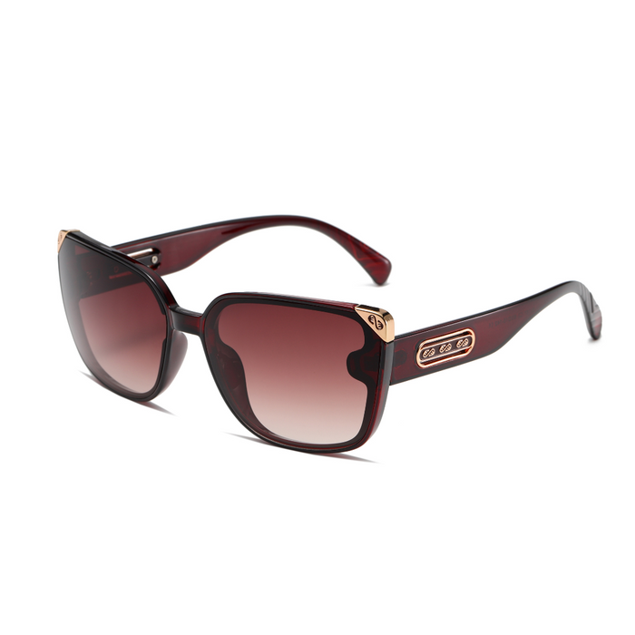 PACK OF 2 - SUNGLASSES SG61